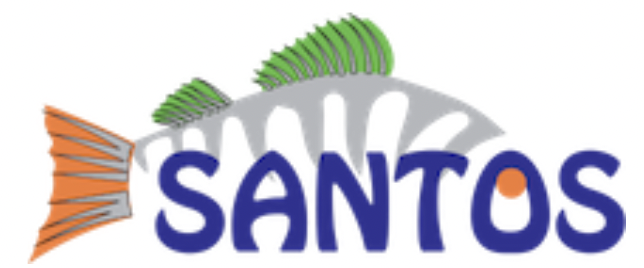 A. & P. Santos SA